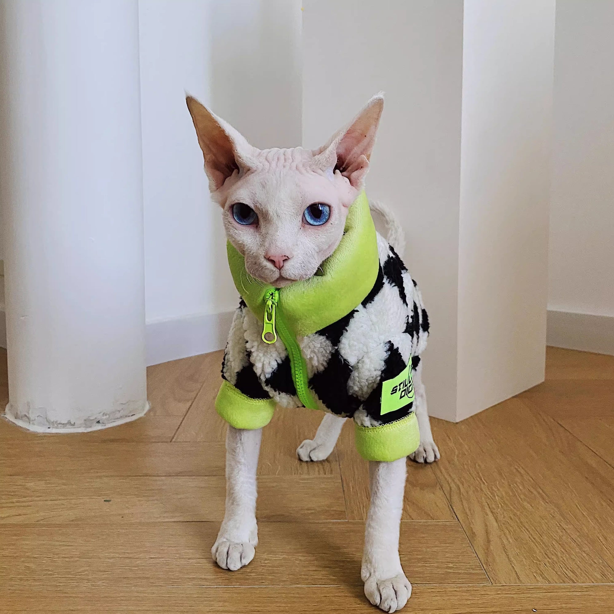 Wintermantel für Sphynx-Katzen, extradicke Lammwolle mit Fleece-Futter