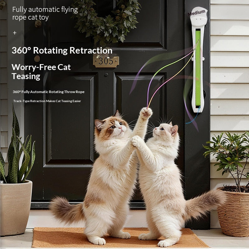 Automatischer Katzen-Teaser mit Seil