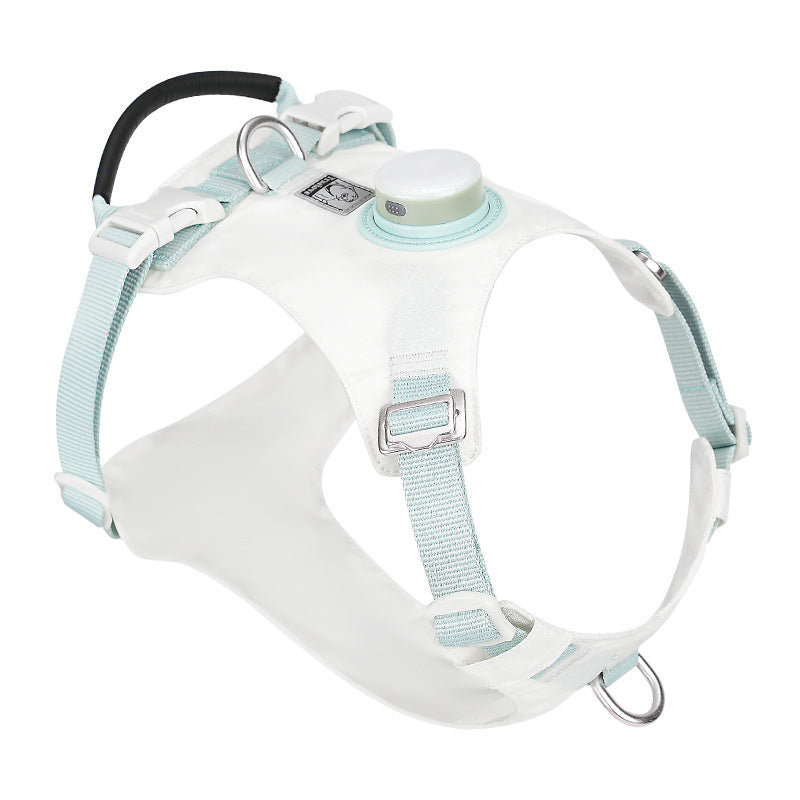 Hundegurt mit LED-Nachtlicht