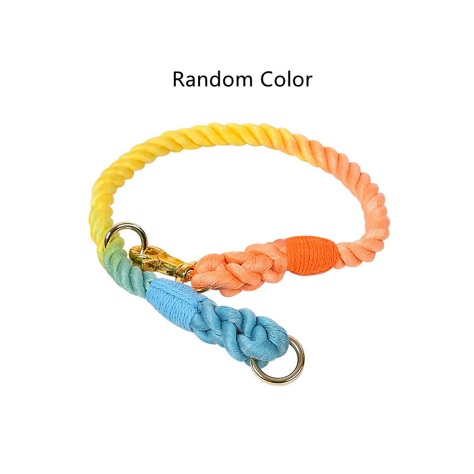 Hundefreundliche Leine – Bild 5 | LuxeStyle