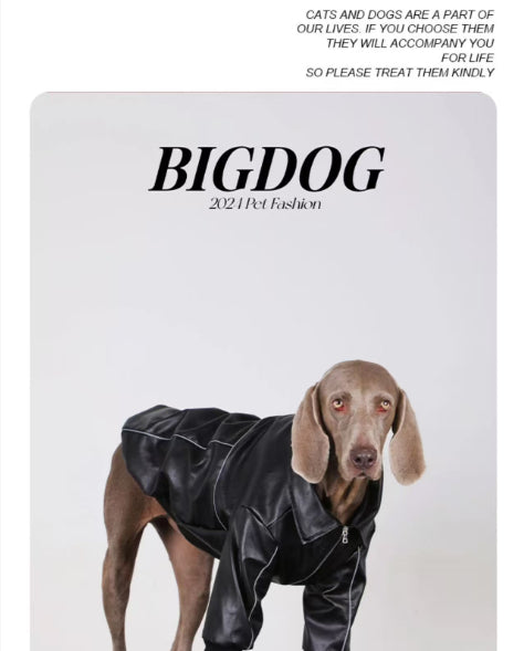 Lederjacke für mittelgrosse bis grosse Hunde