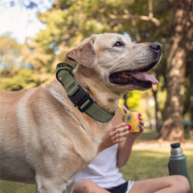Personalisiertes taktisches Hundehalsband – Bild 11 | LuxeStyle