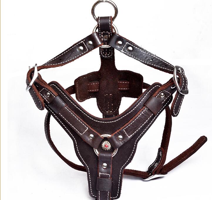 Hundegeschirr aus echtem Leder – Bild 2 | LuxeStyle
