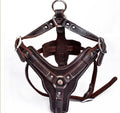 Hundegeschirr aus echtem Leder – Bild 2 | LuxeStyle