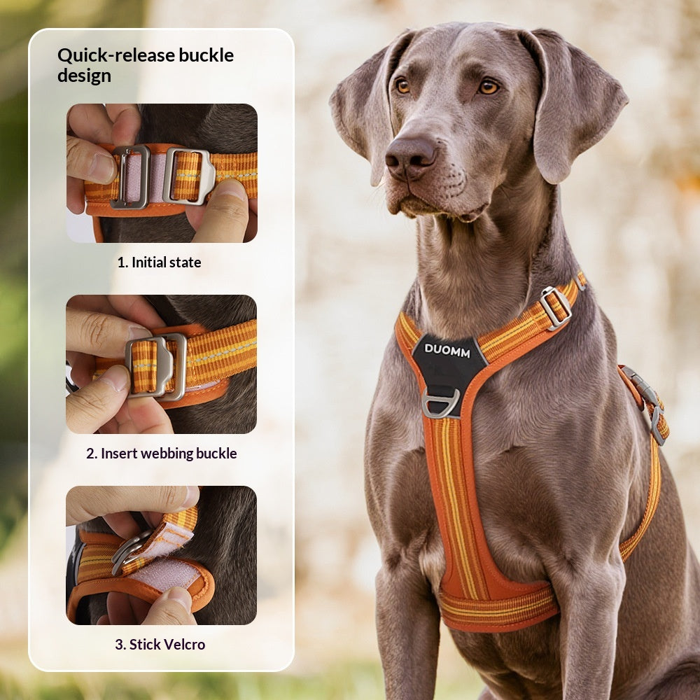 Reflektierendes Hundehalsband