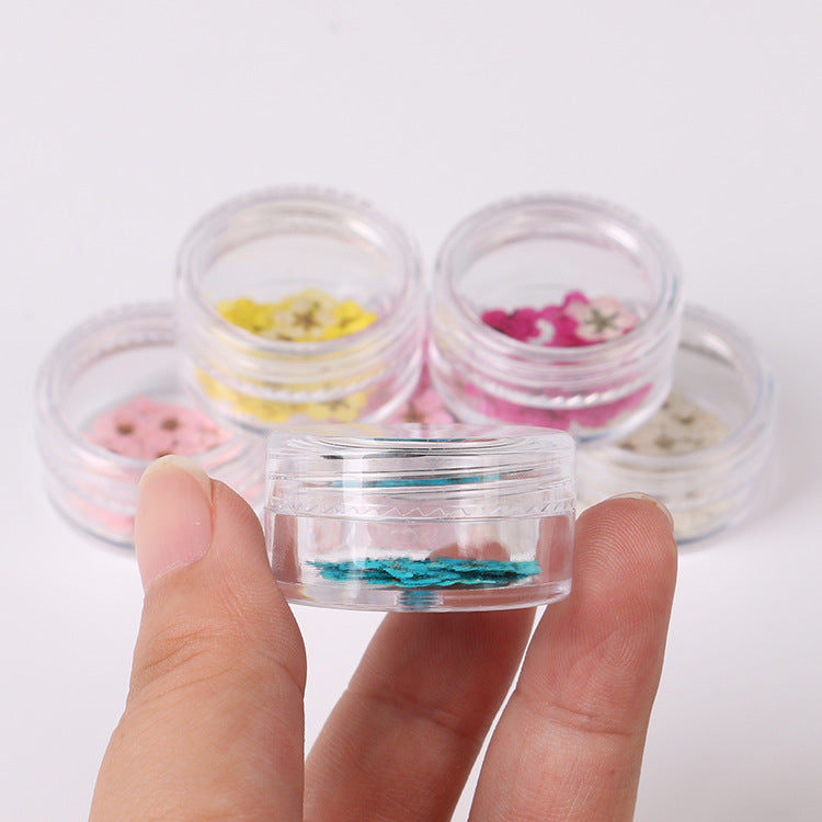 Getrocknete Narzissenblüten für Nageldesign – Bild 3 | LuxeStyle