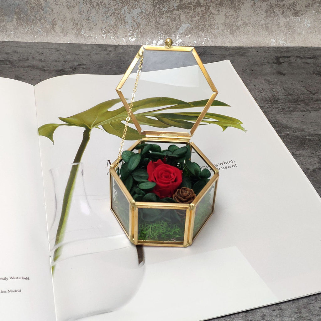 Hexagonale Glasbox für Schmuck und Ringe – Bild 7 | LuxeStyle