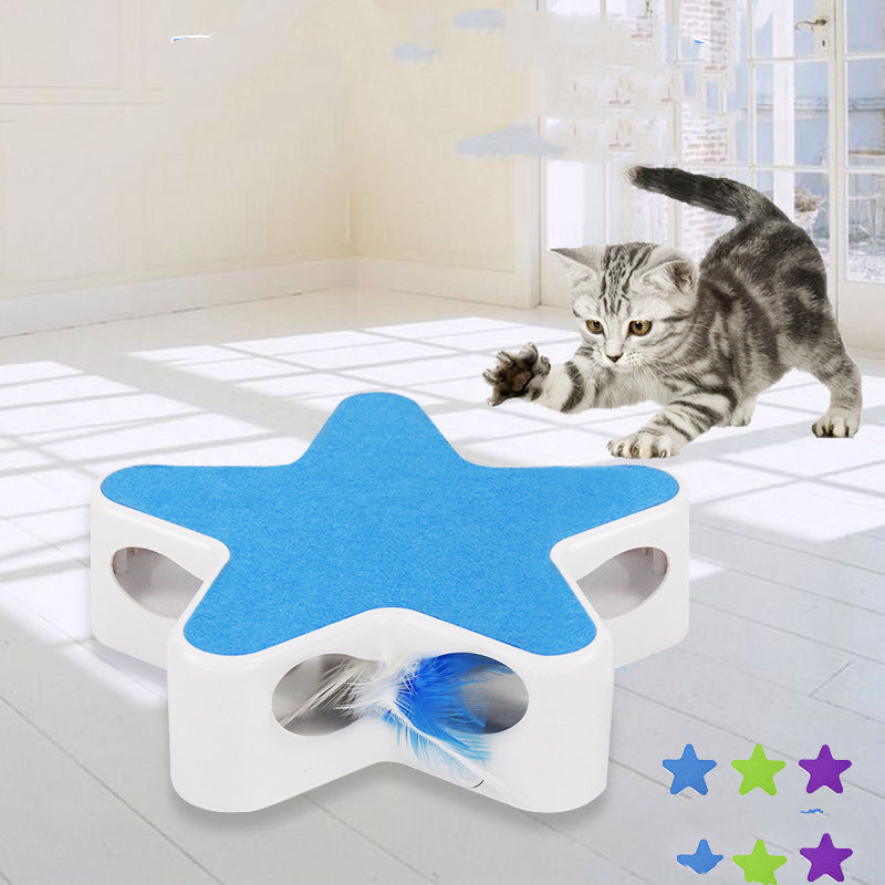 Lustige Katzenbox Fünfstern – Bild 2 | LuxeStyle