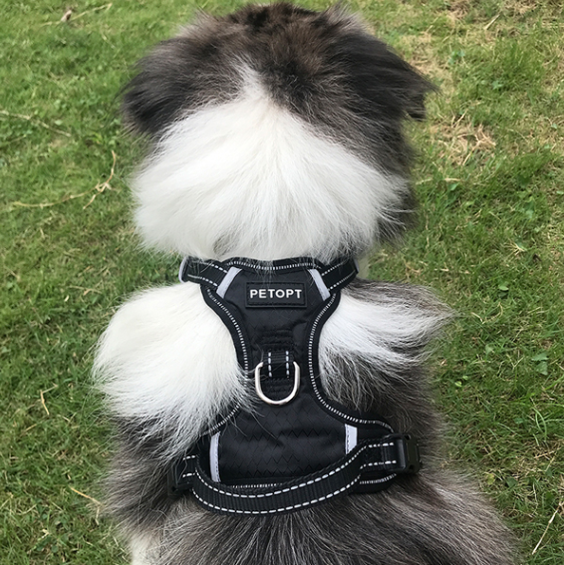 Hunde-Overall aus Polyester – Bild 3 | LuxeStyle
