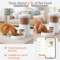 Automatischer Wi-Fi Futterspender für Katzen & kleine Hunde
