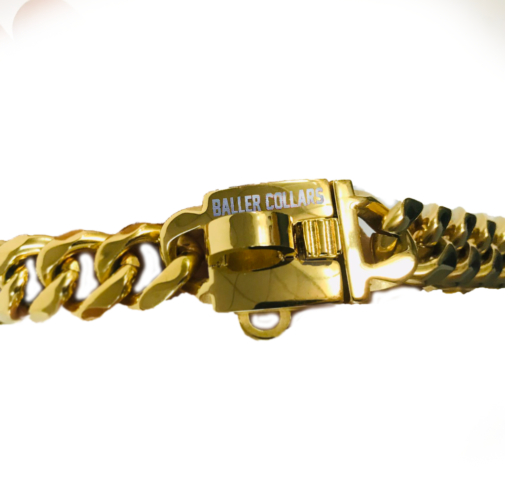 Haustierhalsband 19mm – Bild 2 | LuxeStyle