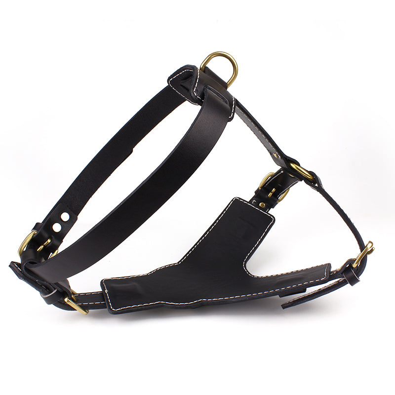 Hundeharnisch aus Rindleder – Schwarz – Bild 3 | LuxeStyle