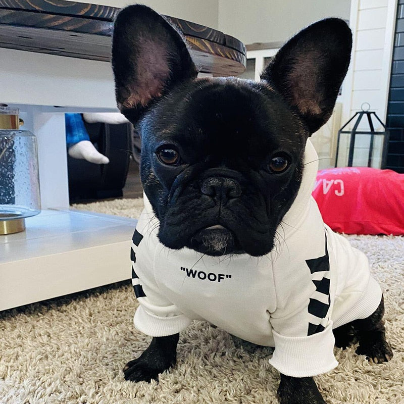 Winter-Hundejacke mit Kapuze