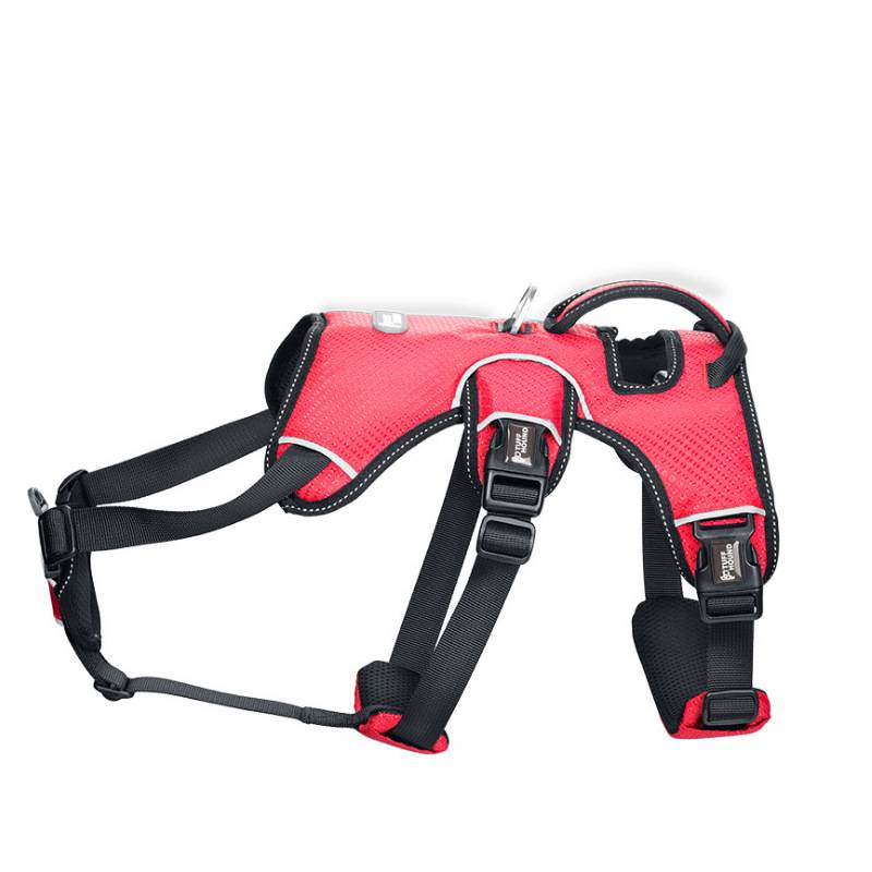 Brustschiene für Hunde – Grau, Rot, Blau