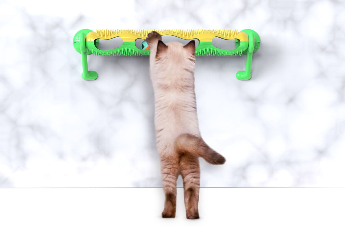 Orbit Ball Katzenspielzeug – Bild 7 | LuxeStyle