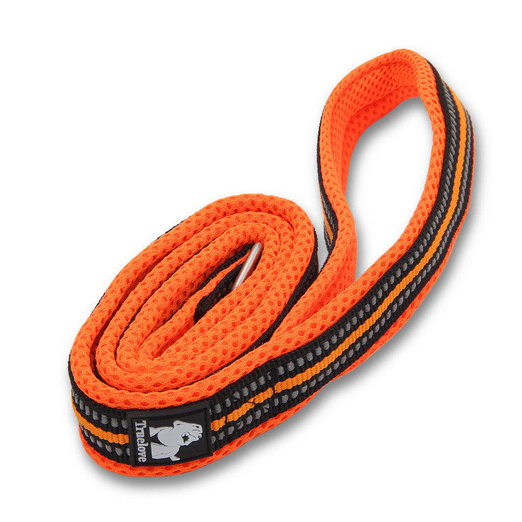 Nylon-Hundeleine – schwarz, orange, grün, blau, rosa – Bild 5 | LuxeStyle