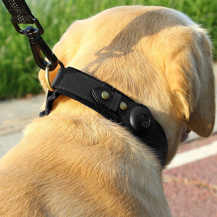 Halsband aus Echtleder für Hunde – Bild 5 | LuxeStyle