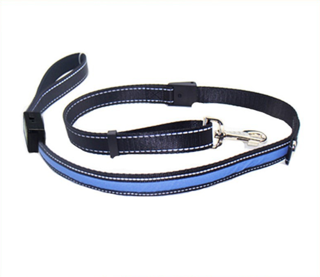 Leuchtendes Hundehalsband mit Solar- und USB-Ladefunktion – Bild 19 | LuxeStyle