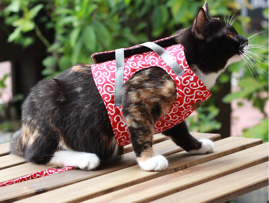 Katzen-Zugleine aus Polyester-Canvas – Bild 5 | LuxeStyle