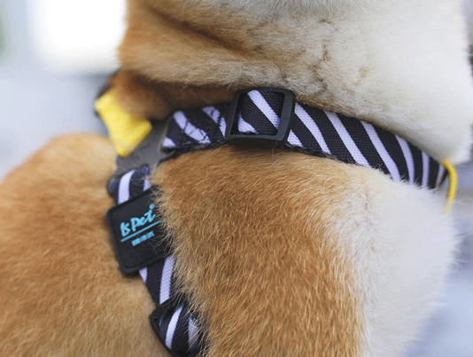 ISPET Hundegeschirr – Bild 2 | LuxeStyle