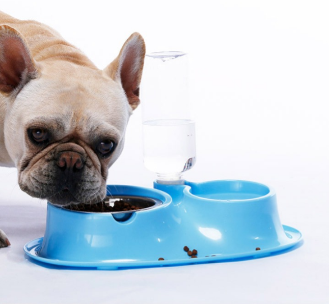 Edelstahl Automatische Trinkschüssel für Hunde – Bild 5 | LuxeStyle