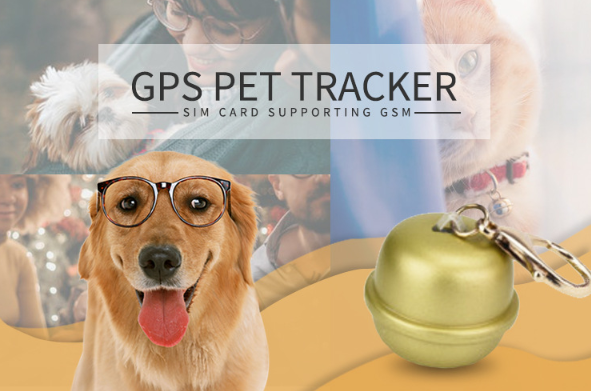 GPS Halsband für Hunde | LuxeStyle