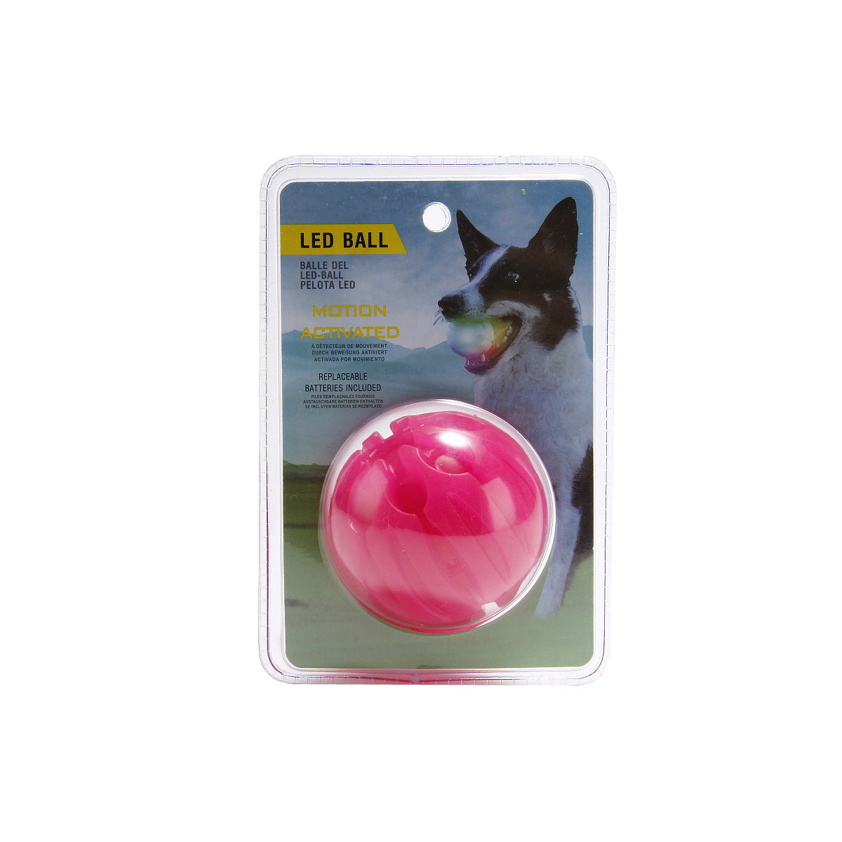 Leuchtender Beissball für Hunde – Bild 4 | LuxeStyle