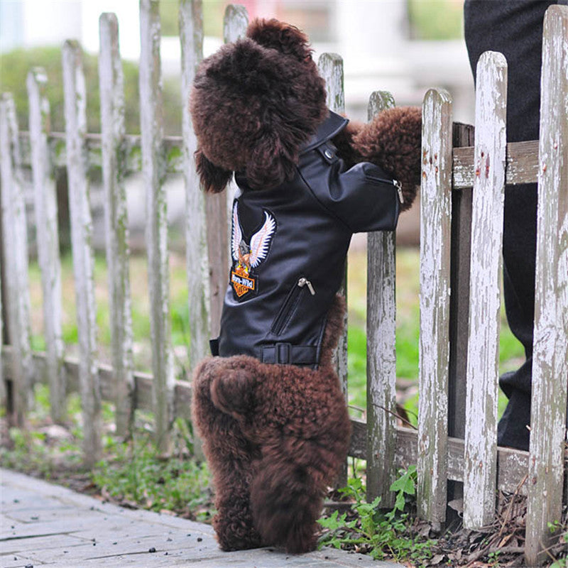 Hunde Lederjacke mit Adler-Stickerei