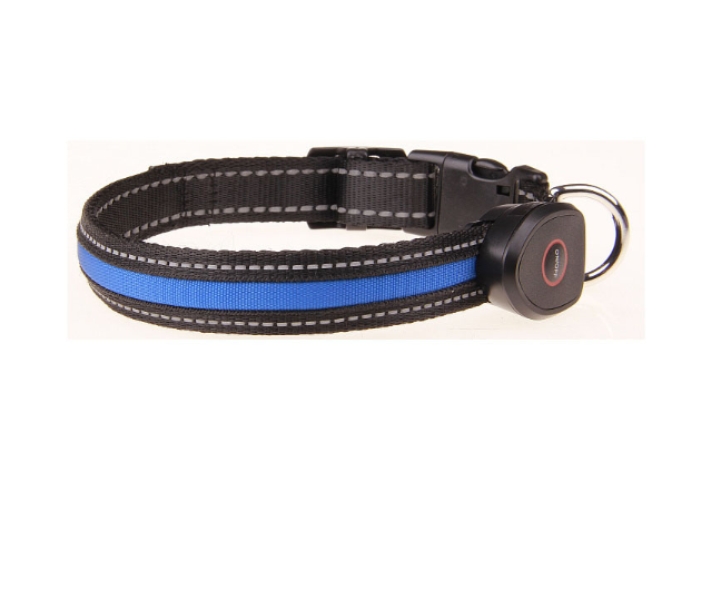 Hundeleuchthalsband
