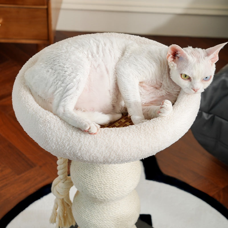 Kompakter Kratzbaum mit Kuschelnest