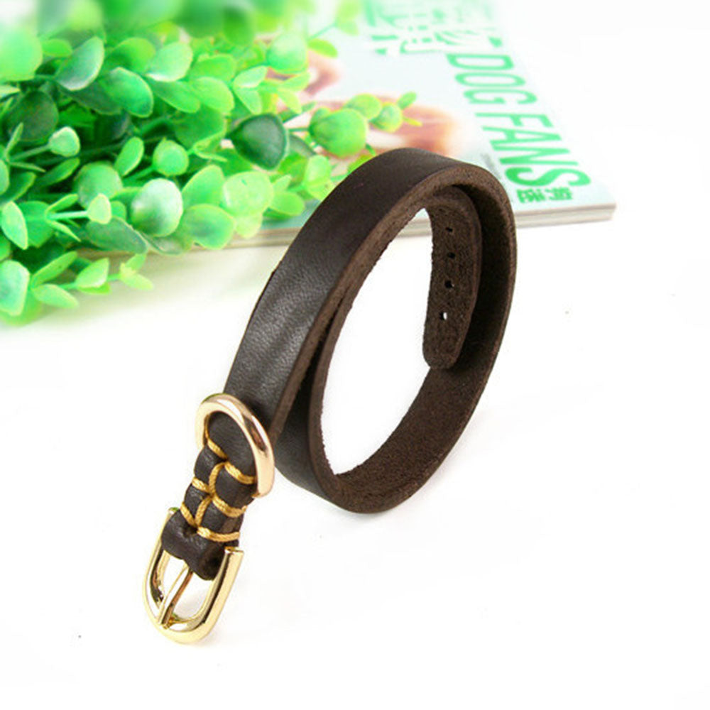 Halsband aus echtem Rindsleder für Welpen – Bild 4 | LuxeStyle