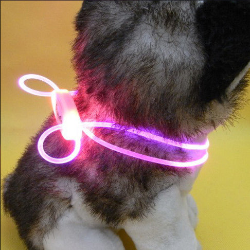 Leuchtanhänger für Hunde-Halsbänder – Bild 5 | LuxeStyle