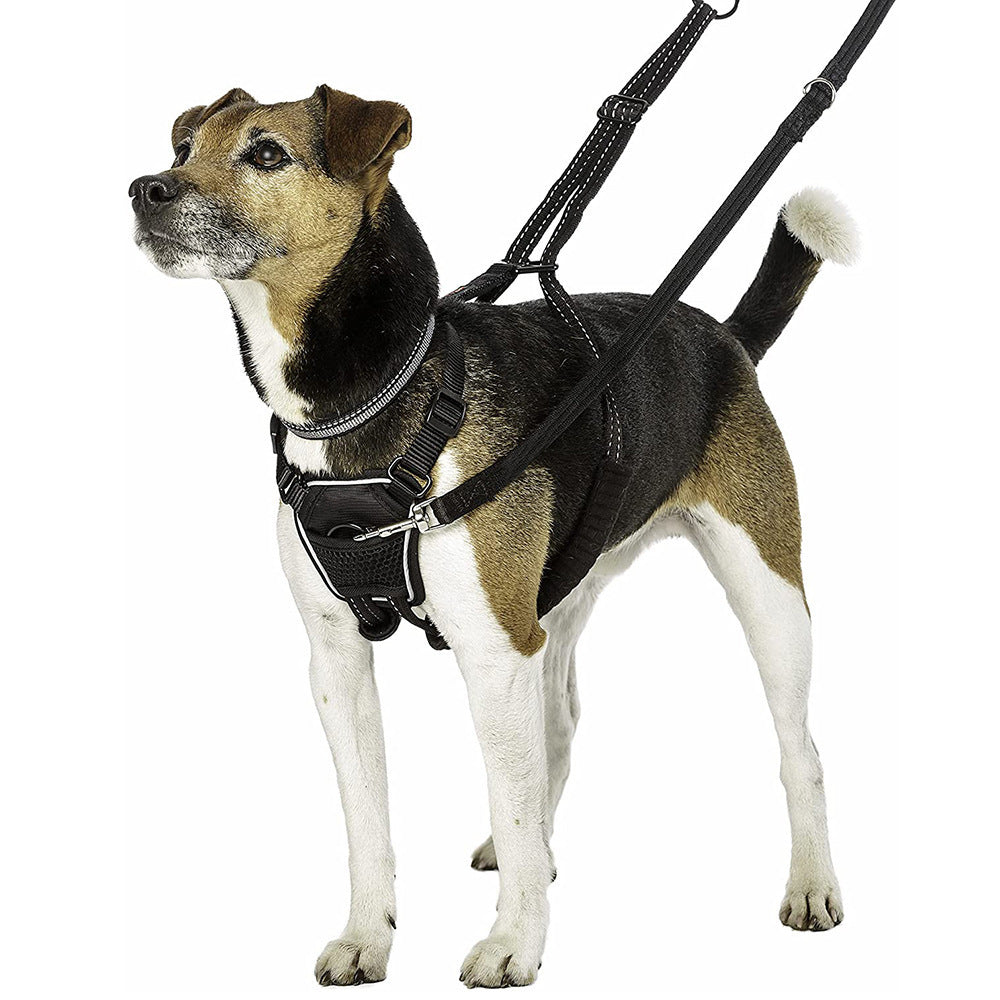 Nylon-Brustgeschirr für Hunde, Grösse L – Bild 2 | LuxeStyle
