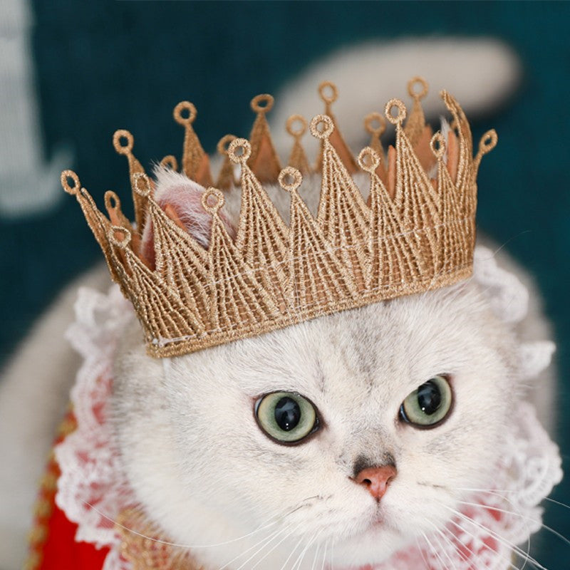 Katzen-Königsumhang mit Spitzenkragen – Bild 3 | LuxeStyle