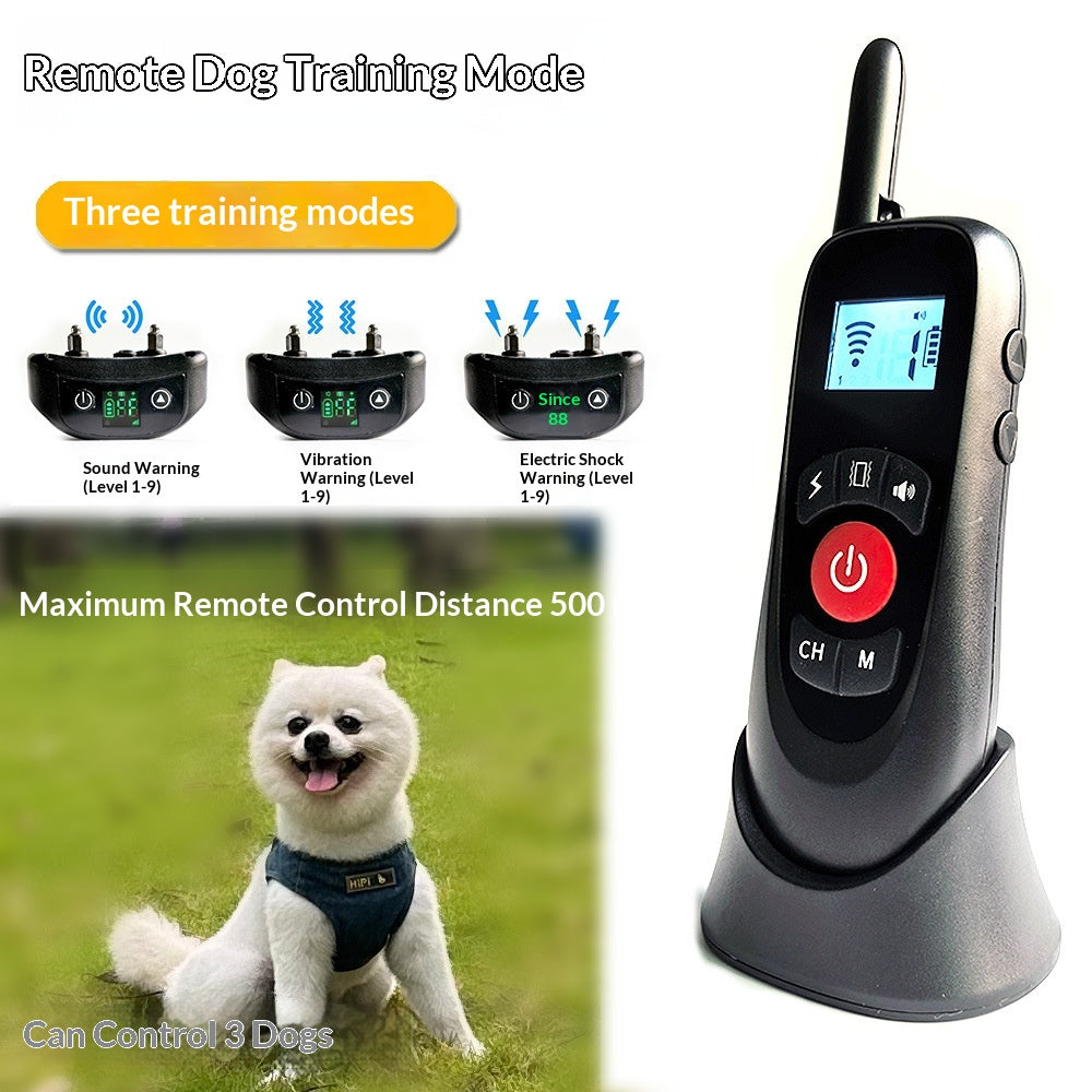 Elektronische Hundezuendung