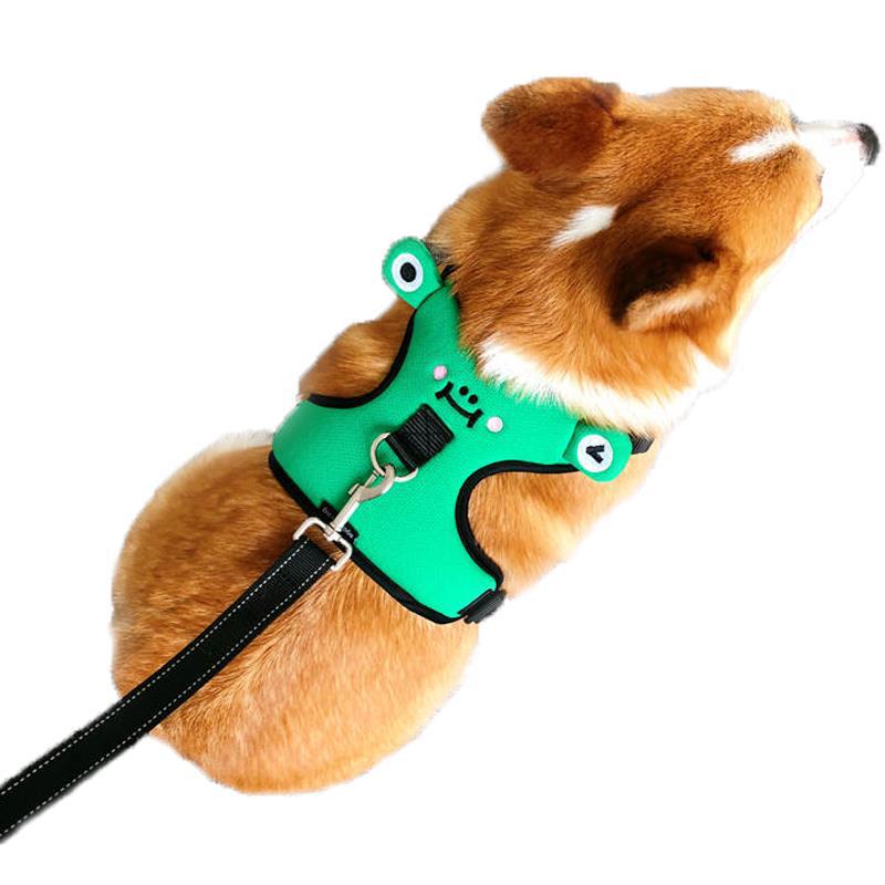 Hundegeschirr mit Leine, diverse Grössen – Bild 3 | LuxeStyle