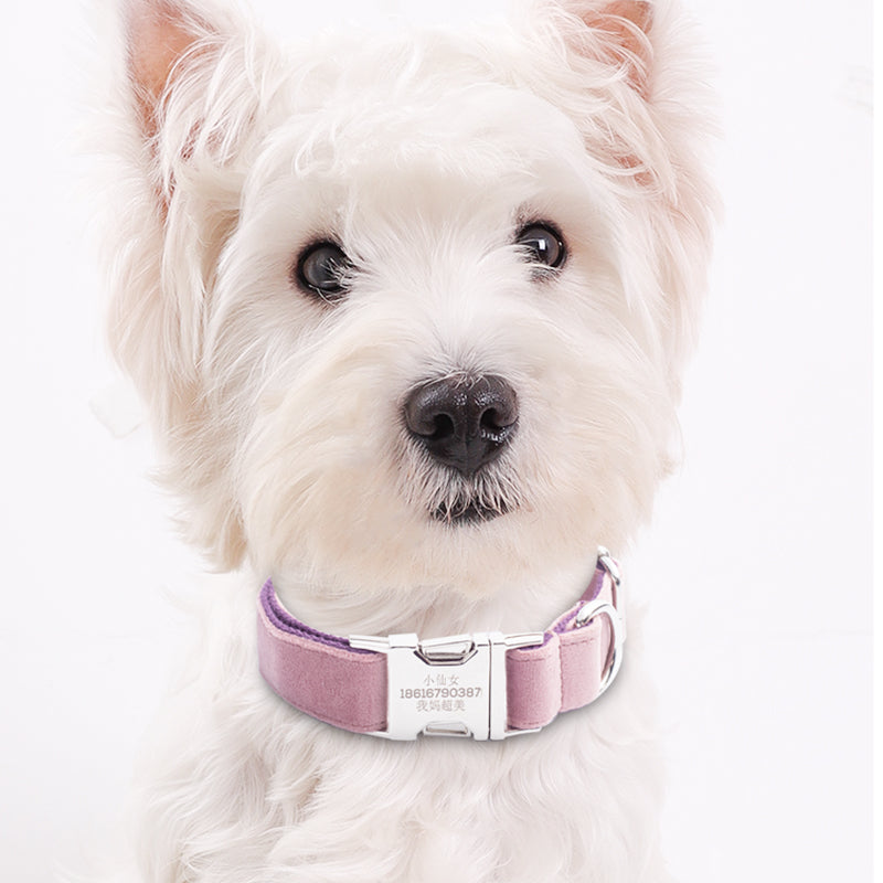 Halsband für Hunde, Pink-Violett – Bild 5 | LuxeStyle