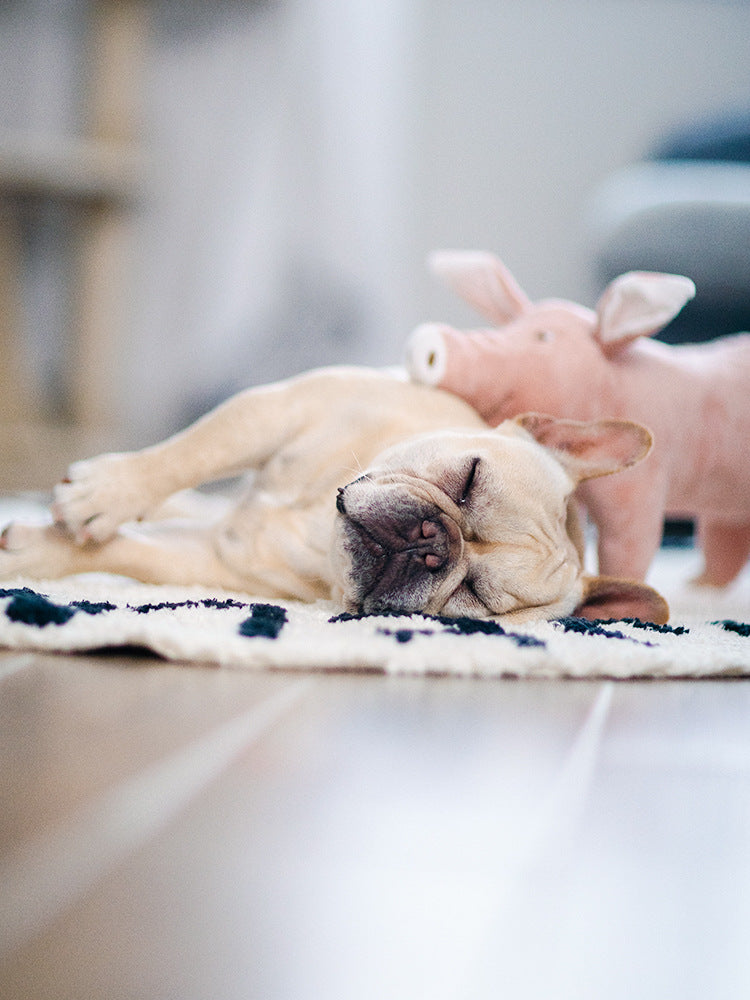 Plüsch-Schwein für ruhige Hunde-Nächte – Bild 4 | LuxeStyle