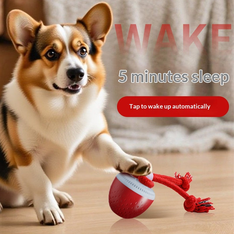 Beissfester Spielball für Hunde