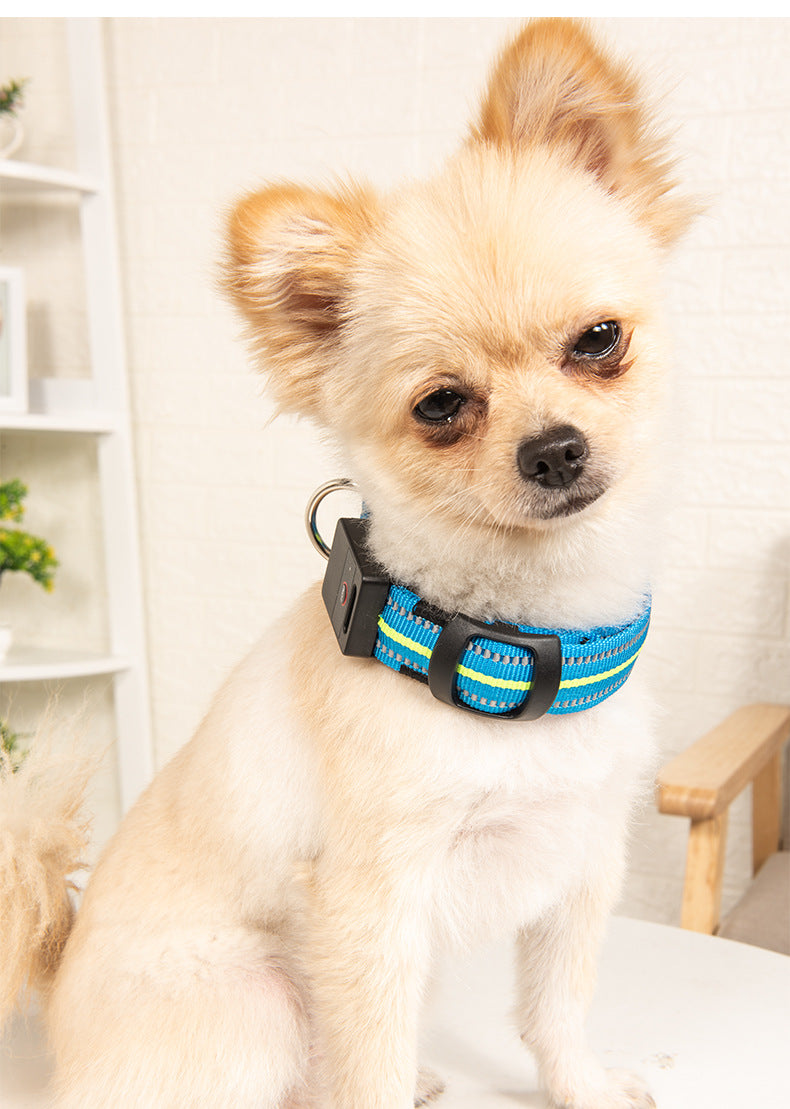 Leuchtendes Hunde-Halsband | LuxeStyle