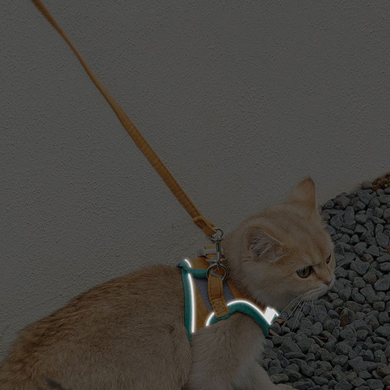 Reflektierendes Katzengeschirr mit Zugseil | LuxeStyle