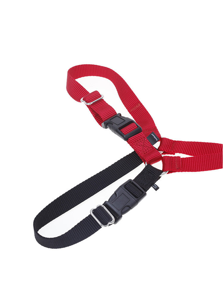 Hundehalsband für Spaziergänge – Bild 7 | LuxeStyle