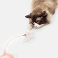 Katzenspielzeug mit Feder und Bissfestem Halsband | LuxeStyle