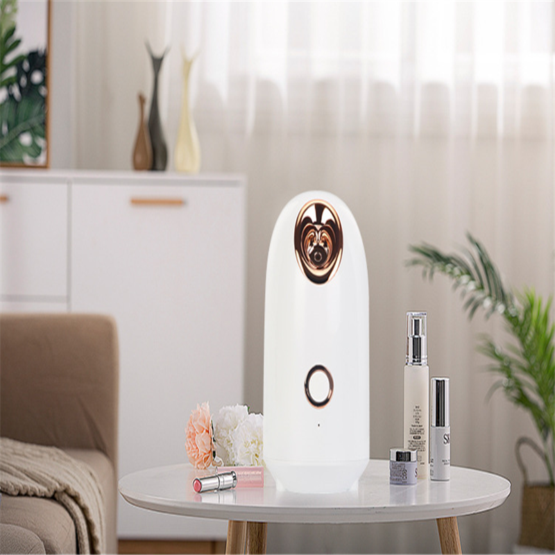 Beauty Steamer für Gesichtspflege – Bild 6 | LuxeStyle