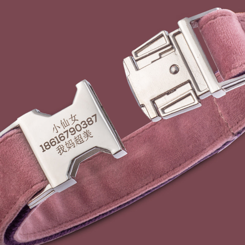 Halsband für Hunde, Pink-Violett – Bild 2 | LuxeStyle