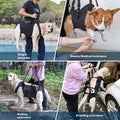Hundetragetuch