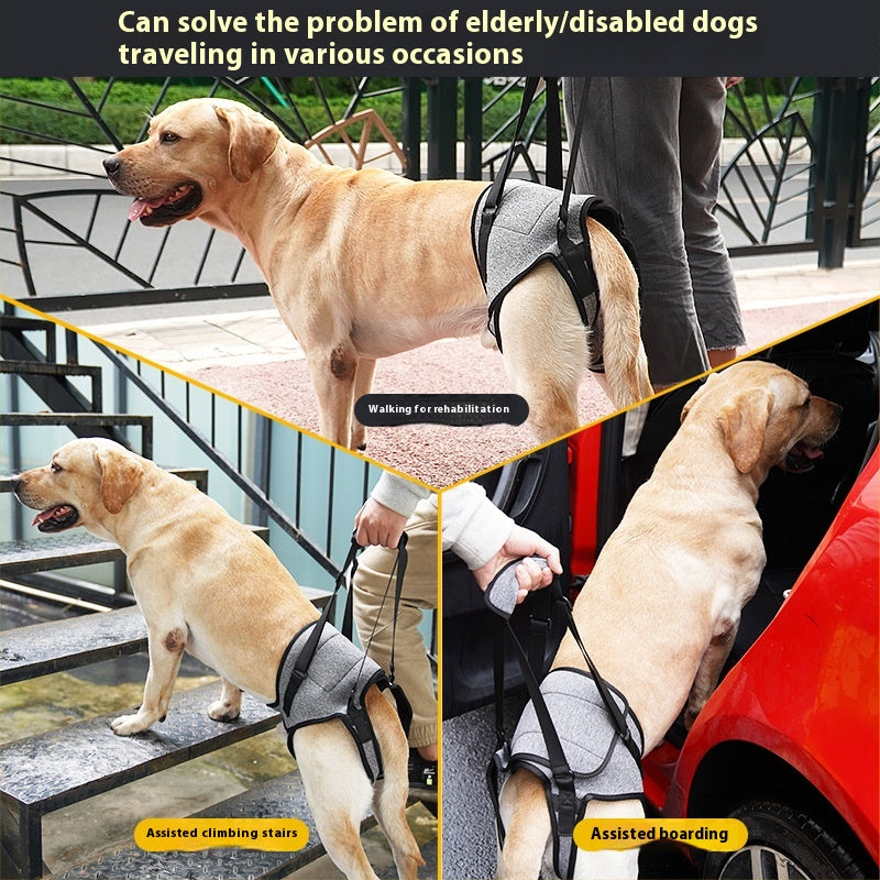 Hundegeschirr für ältere Hunde