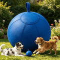 Blauer Spielzeug für Hunde