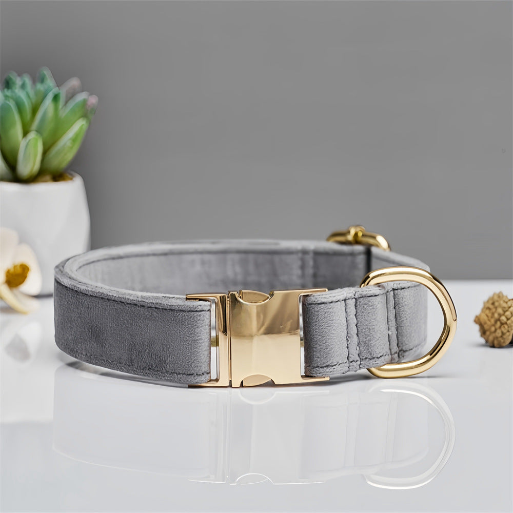 Halsband und Leine für Hunde, diverse Farben – Bild 8 | LuxeStyle