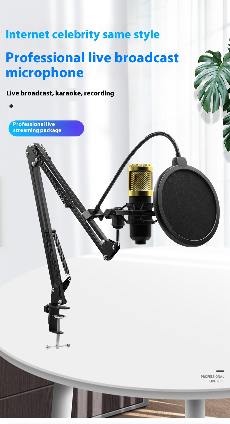 BM800 Kondensatormikrofon-Set mit Galgenarm